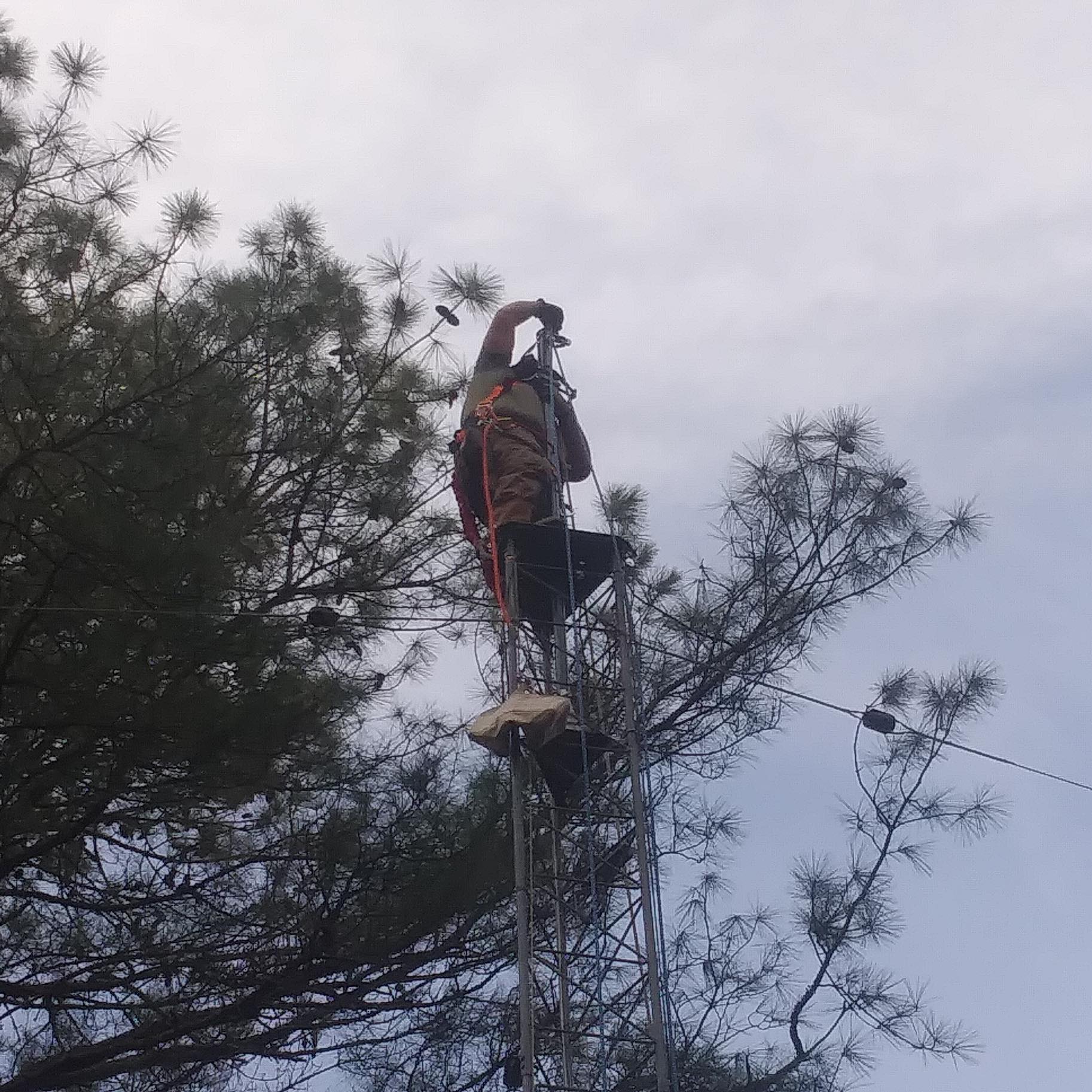 Ham Radio Tower